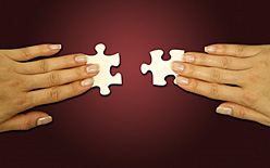 Jigsaw Pieces